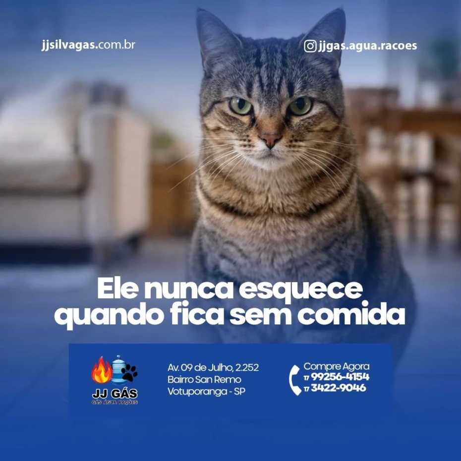 Foto 4:  — JJ Gás, Água e Ração